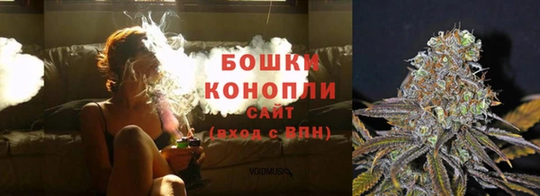 PSILOCYBIN Верхний Тагил