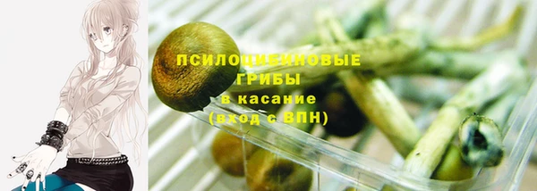 бошки Верхнеуральск