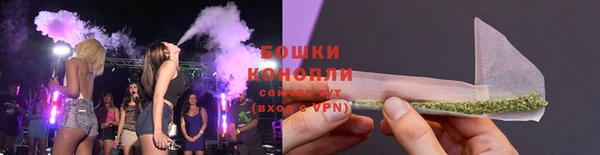 PSILOCYBIN Верхний Тагил