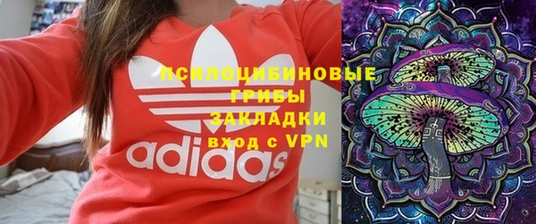 PSILOCYBIN Верхний Тагил