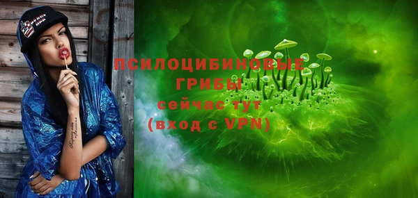 PSILOCYBIN Верхний Тагил